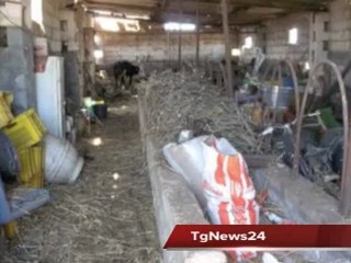 Tg 19 Maggio: Leccenews24 politica, cronaca, sport, l'informazione 24ore.