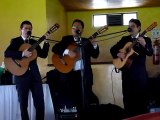 TRIO para serenata en Bogota, musica de cuerda como ninguna