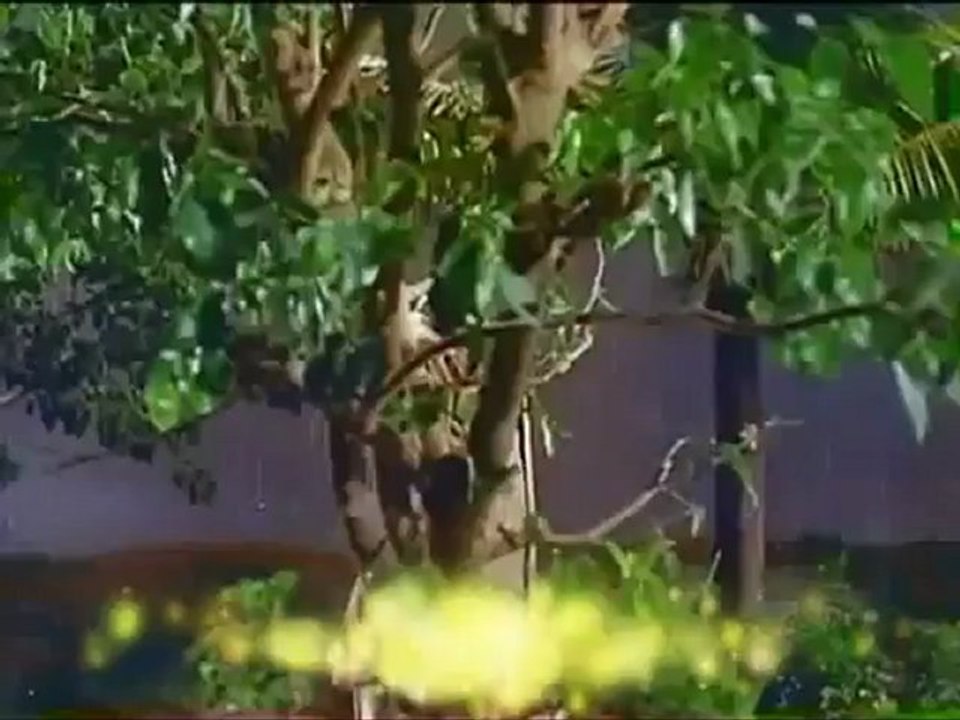 நிலவை பார்த்து வானம் சொன்னது என்னை தொடாதே