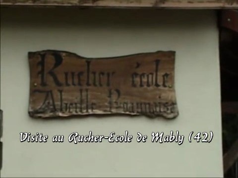 2012-ABEILLES-RUCHER ECOLE