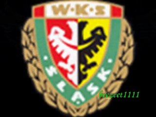 To My Kibice Śląska (Wrocław)