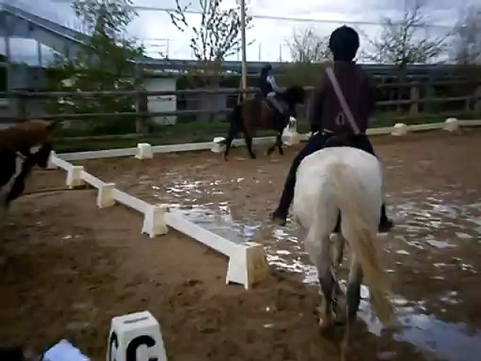 -Myriam et Amuse-Toi - Dressage - Ecurie de la Vayrie