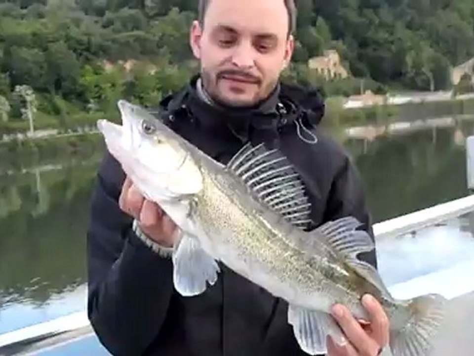 Karlo du FUK sort un petit sandre sympathique