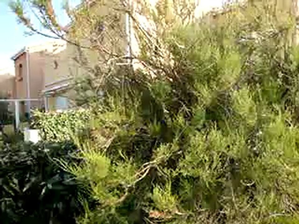 Terrasse côté entrée