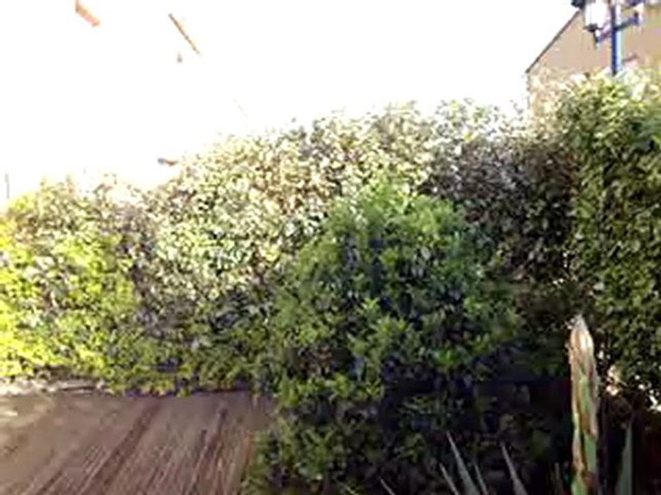 Terrasse côté jardin