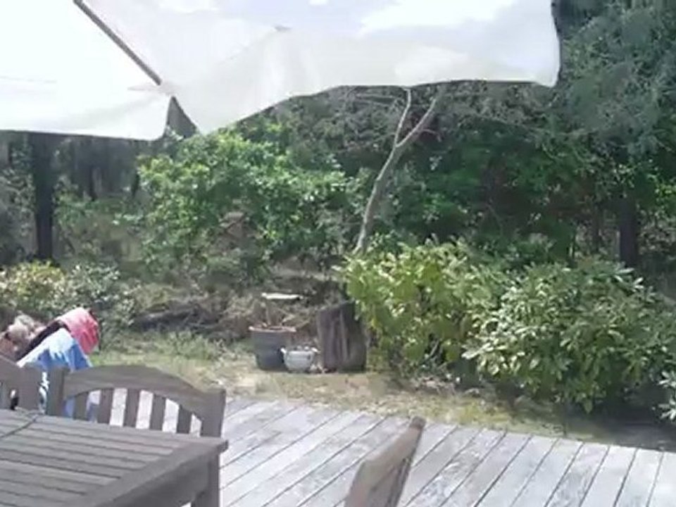 Villa 8 personnes avec piscine chauffée. Venez jouer au Golf à Moliets dans les Landes.