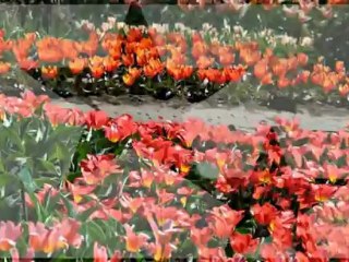 Andrea Bocelli-Oh sole mio...