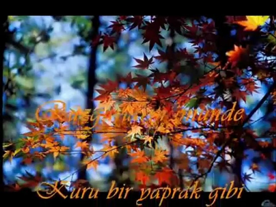 zeki müren - sen kimseyi sevemezsin