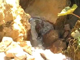 Alaçağzı deniz kirliliği