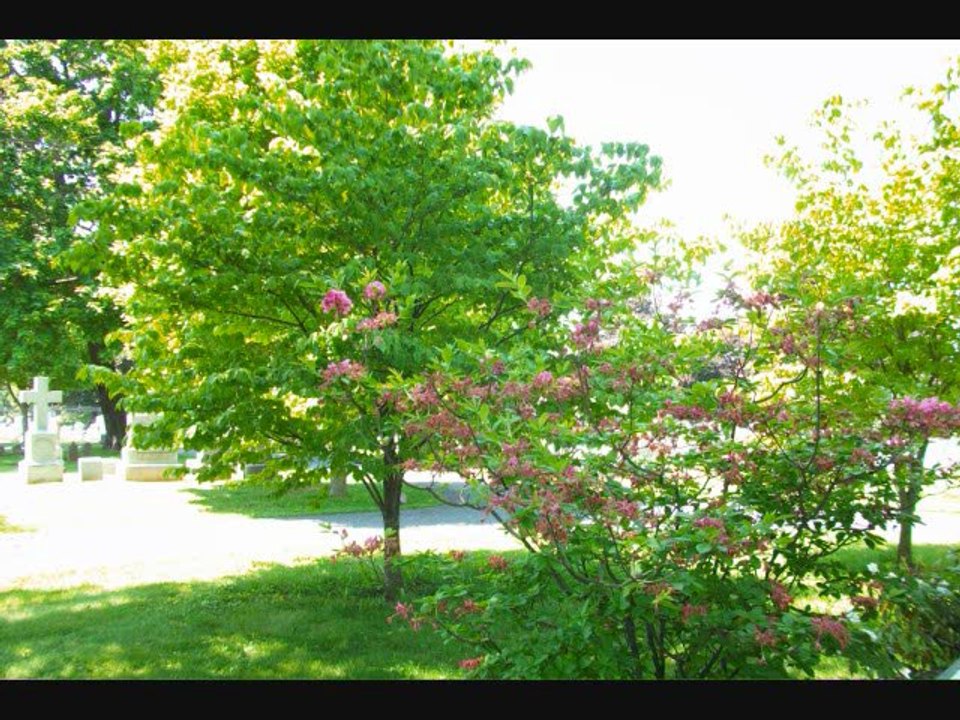 Gettysburg, May, 2012