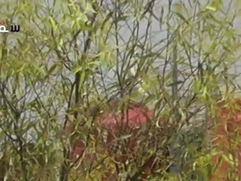 Syria فري برس ريف دمشق سقبا اشتباكات عنيفة بين منشقين و شبيحة الأسد 19 5 202 ج1 Damascus