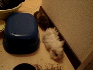 Sortie dans le couloir