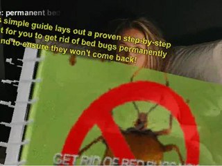 Bed Bugs Treatment