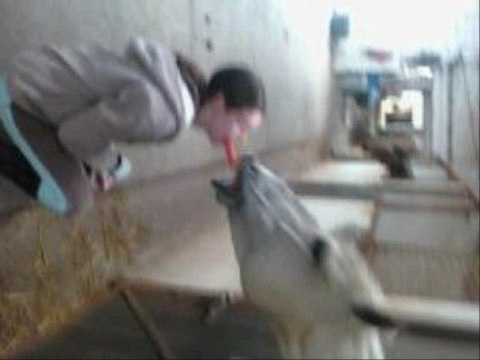 mon centre équestre