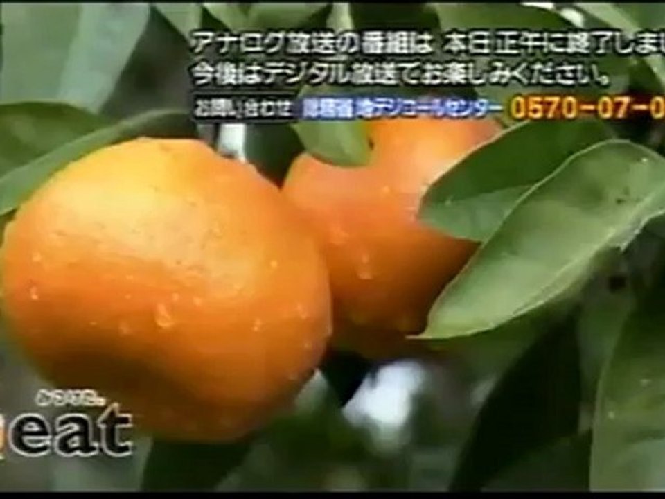 110724 EAT愛媛朝日テレビ アナログ放送停波の瞬間