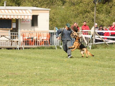 ELGA RCI CERTIFICAT DEFENSE 14 04 2012