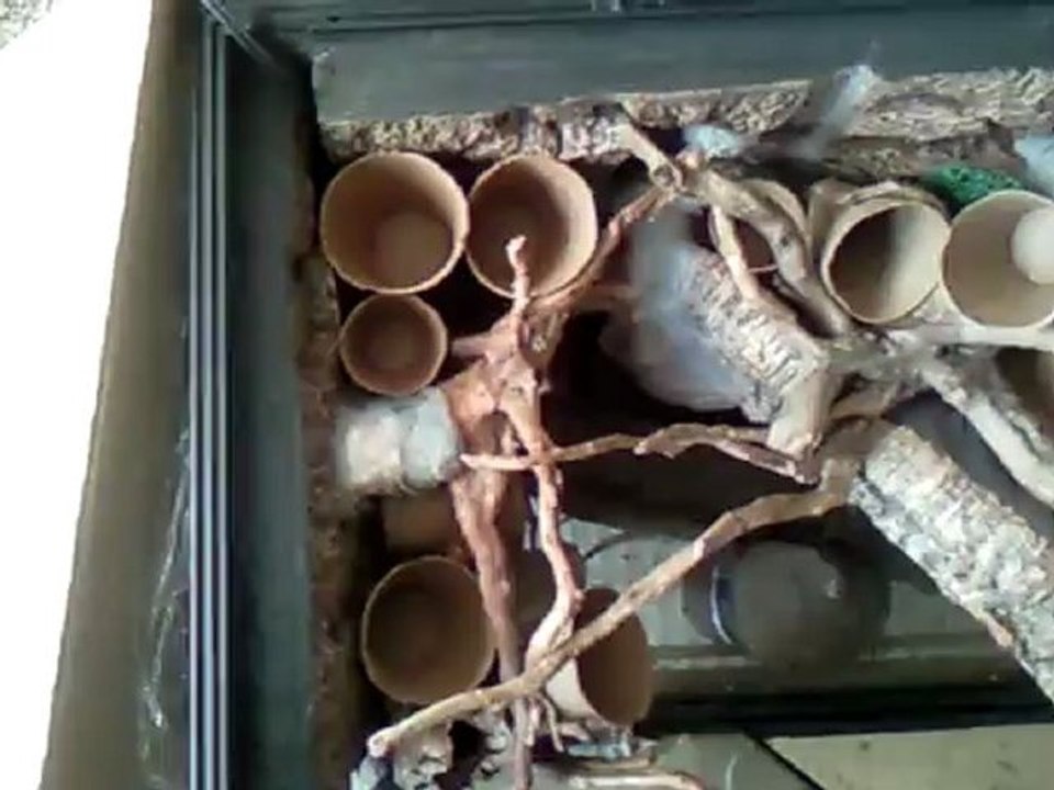 Créer, Construire son Terrarium (Construction étape 4)