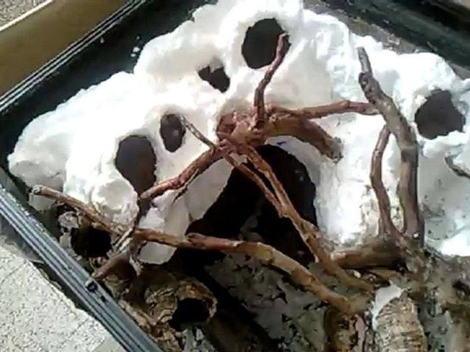 Créer, Construire son Terrarium (Construction étape 5 Bis)
