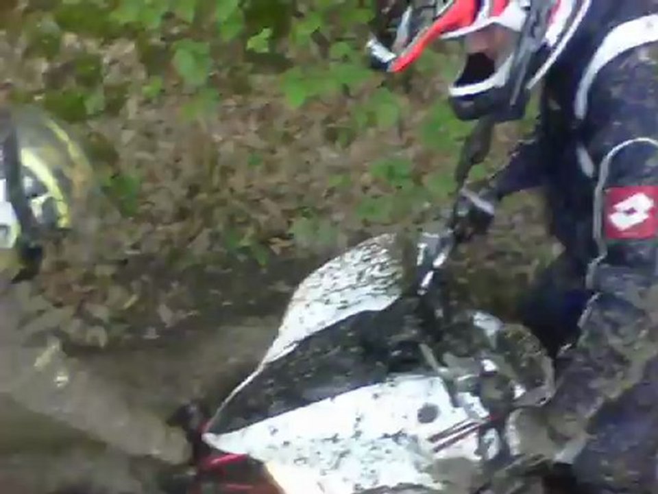 quad 250 350 RAPTOR SHINERAY BASHAN