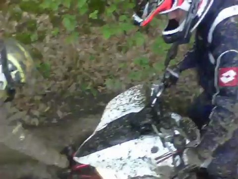 quad 250 350 RAPTOR SHINERAY BASHAN