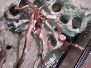 Créer, Construire son Terrarium (Construction étape 7)