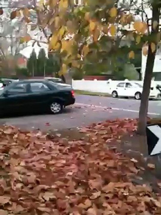 automne