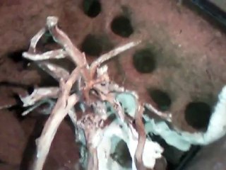 Créer, Construire son Terrarium (Construction étape 9)