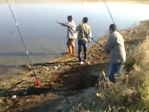 Haymana(Dikilitaş) Turna Avı