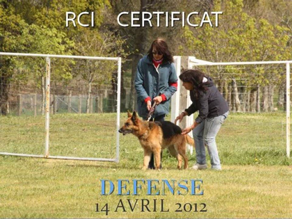 TOUNDRA RCI CERTIFICAT DEFENSE 14 04 2012
