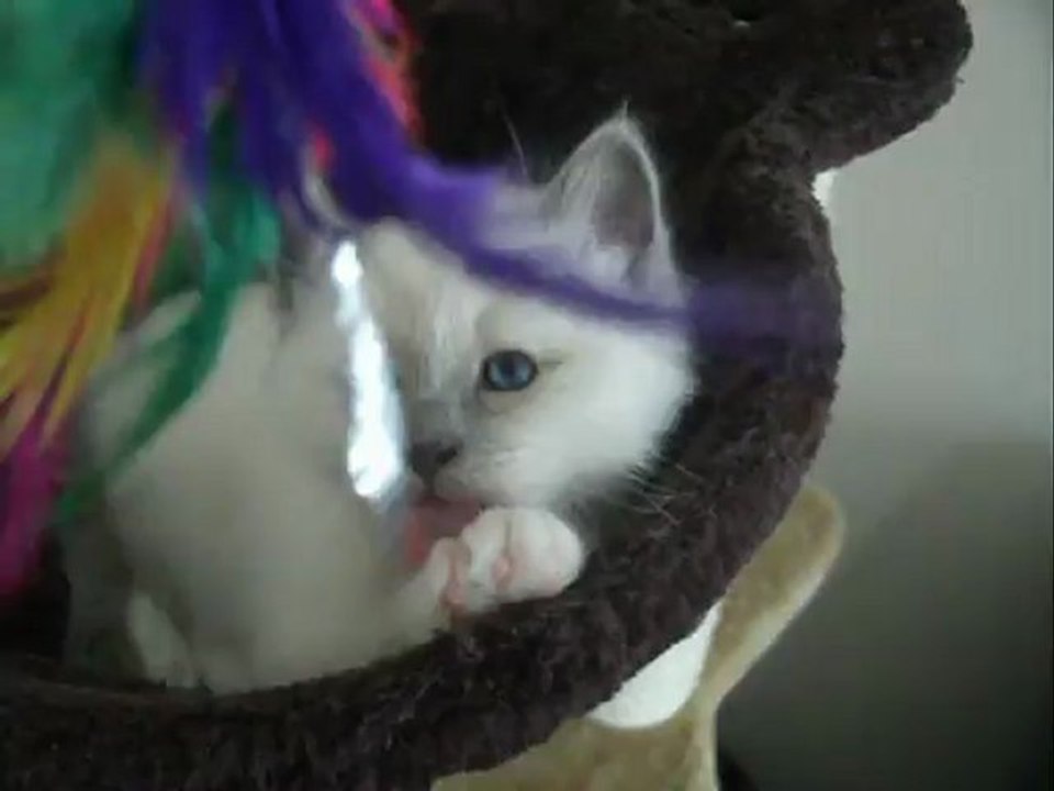 Hodyssée 6S. +4 jrs  (1)