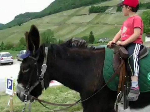 Balade à dos d'âne