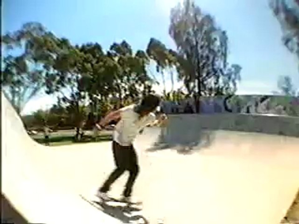 Transworld. In. Bloom.