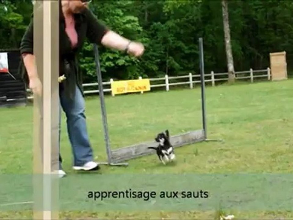 Gloria en obeissance