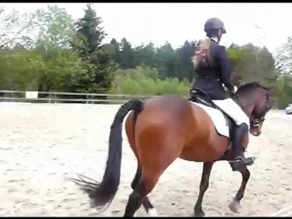 Reprise de dressage à Mont le soi avec Chilli