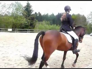 Reprise de dressage à Mont le soi avec Chilli