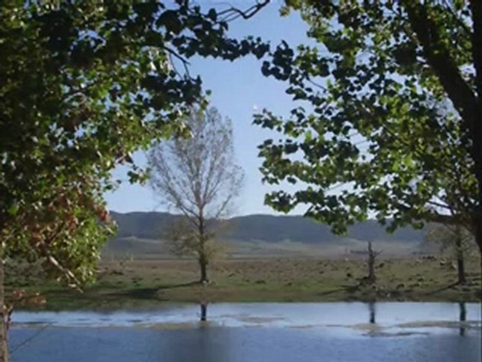 Ifrane, un coin de nature à l'état pur: :