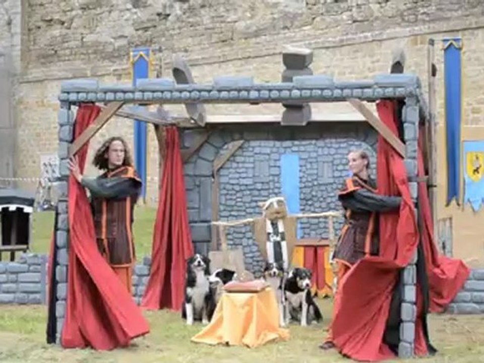 Dog Trainer
