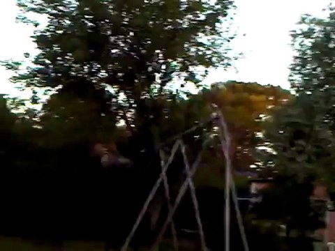 ¿COMO ESPANTAR PALOMAS?