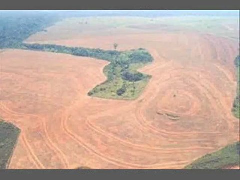 SOUNDS CHIMES SANSULA WHAT HAVE WE DONE