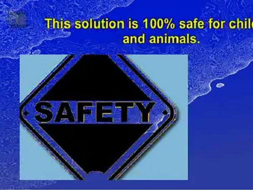 Get Rid of Silverfish