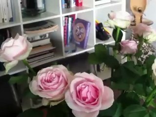 PINK ROSES AND LIBRARY