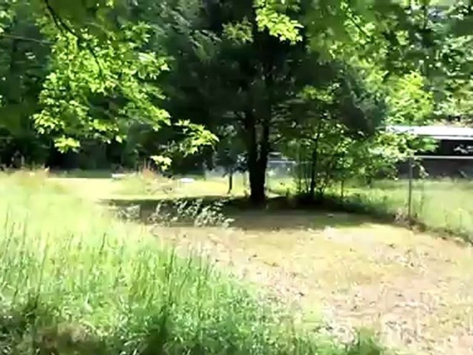 Savannah running around in Valley
