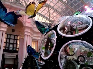 Butterfly pavilion at MGM Macau 2012May19