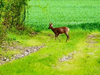 Sur le chemin des merveilles naturelles