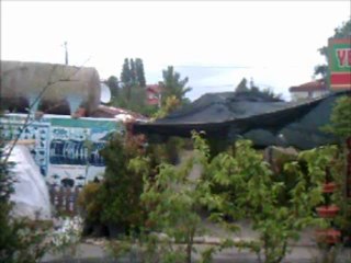 GÖK BENEKLİ DİŞİ