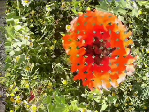 kevenlik köyü şarkışla sivas 20mayıs 2012