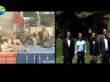 Amerika'da Nato Zirvesi - 20 mayıs 2012