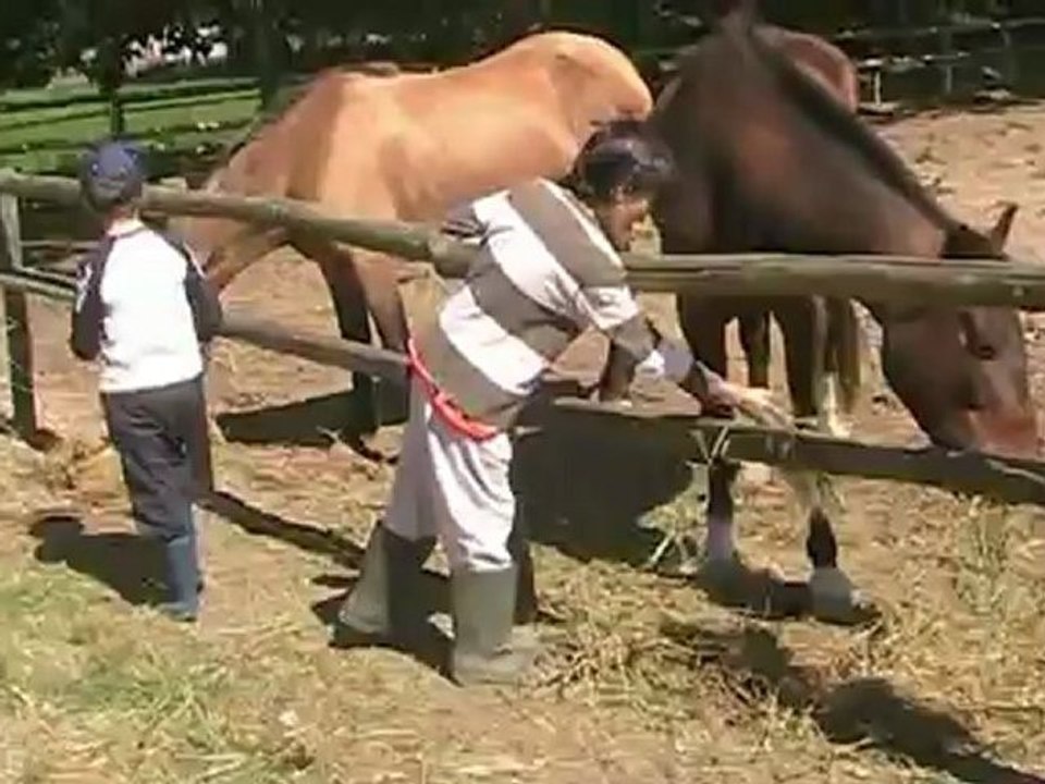 la granja
