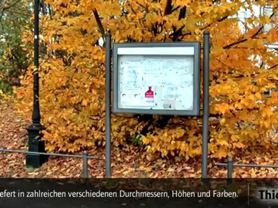 Das System Bayern - Dauerbrenner im Thieme-Programm