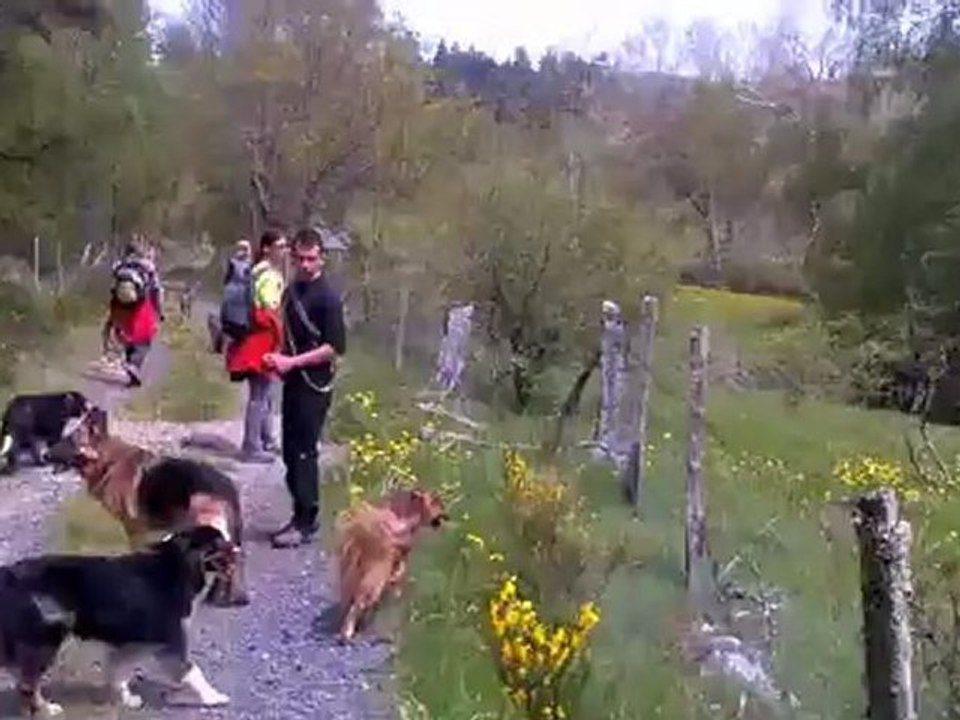 Virgule .... demi-tour  ?